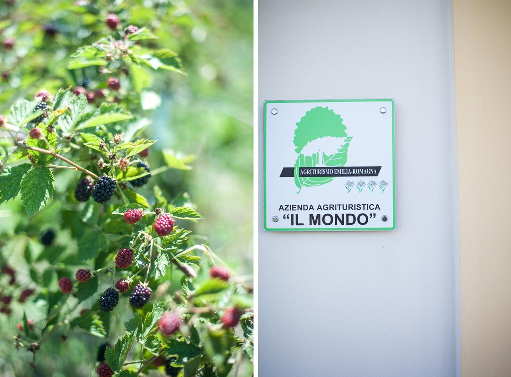 Agriturismo Il Mondo Guest House Парма Екстериор снимка