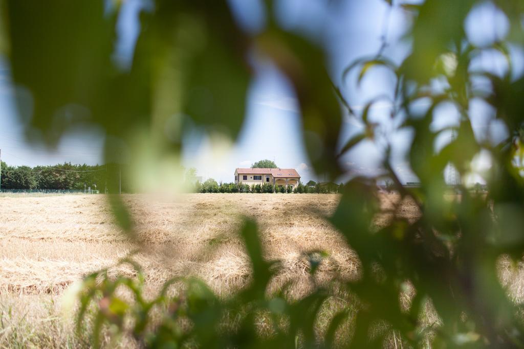 Agriturismo Il Mondo Guest House Парма Екстериор снимка